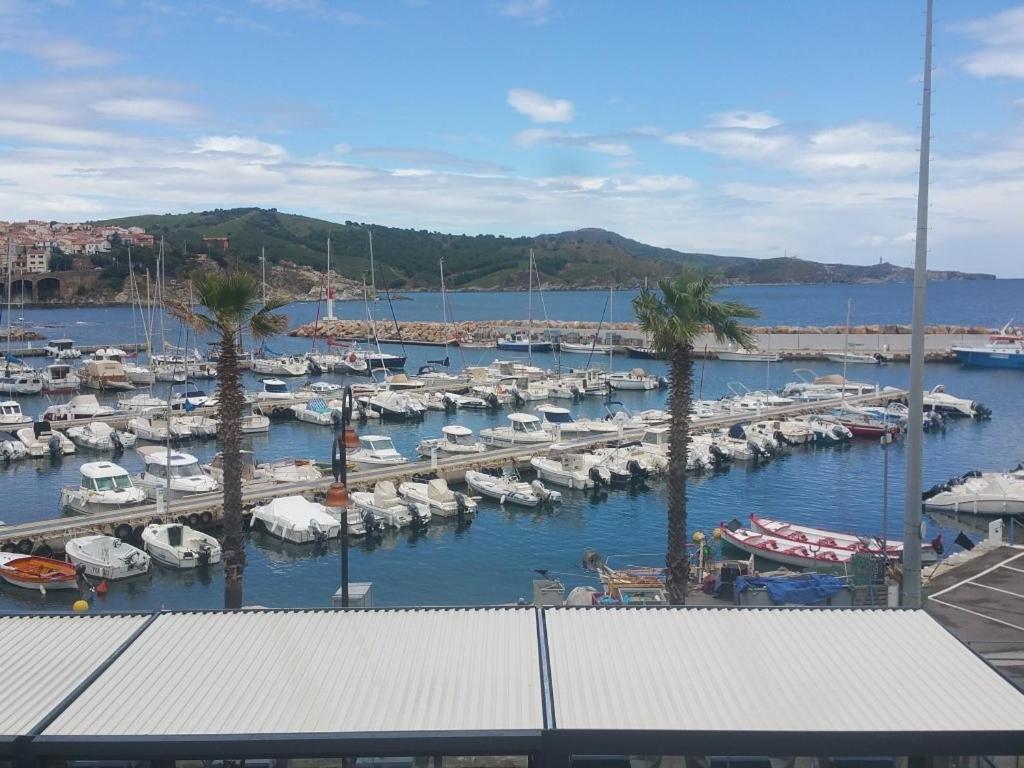 Residence La Grande Voile Banyuls-sur-Mer Exterior foto